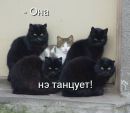 №38 Екатерина Новикова 20.07: профиль, фото, статус - ВКонтакте