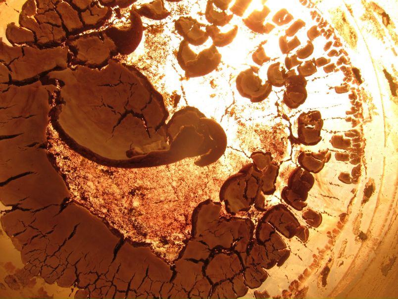 №103, Даша Ерёмка, Харьков №103, Даша Ерёмка, Харьков