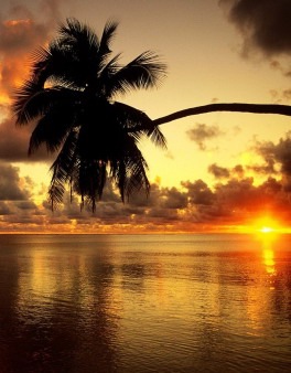 №8, Александр Хохля, Киев №8, Александр Хохля, Киев