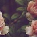 Ангелина Рослова ♥Greeneyes_Angel♥ | Москва