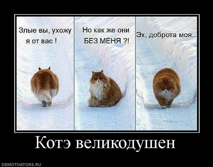 №118, Максим Визнюк, 25.01.1983, Одесса №118, Максим Визнюк, 25.01.1983, Одесса