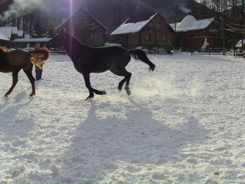 №113, Екатерина Ворошило, Киев №113, Екатерина Ворошило, Киев