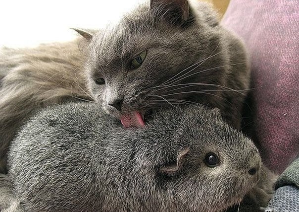 Мария Пузик Викторовна ♥ М@ня ♥ | Санкт-Петербург