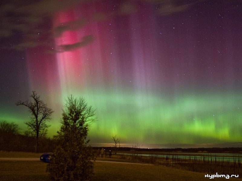 Антон Петряков | Калининград