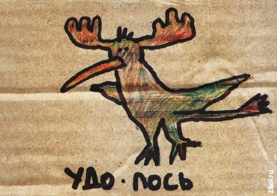 Даша Шайдакова | Санкт-Петербург