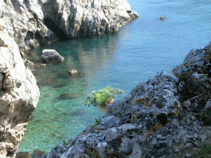 №85, Ольга Миусова, Херсон №85, Ольга Миусова, Херсон