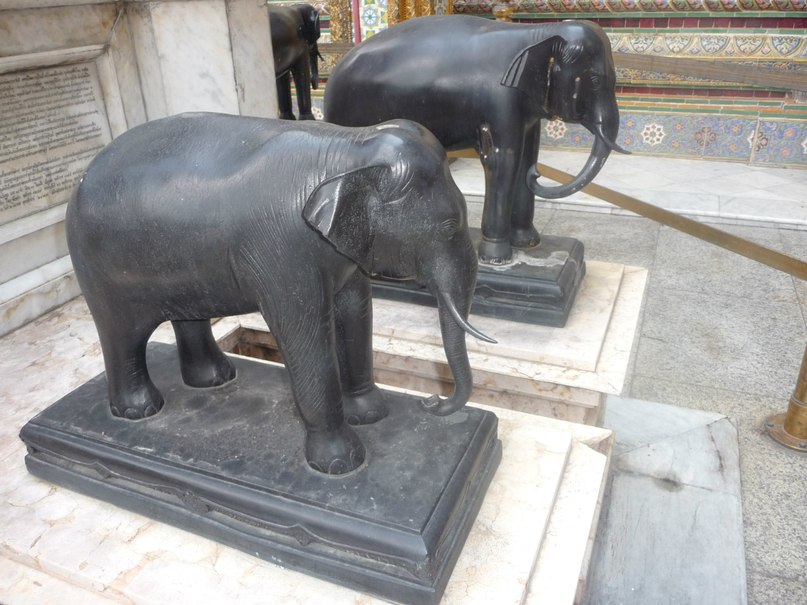 Дмитрий Трошин | Тула