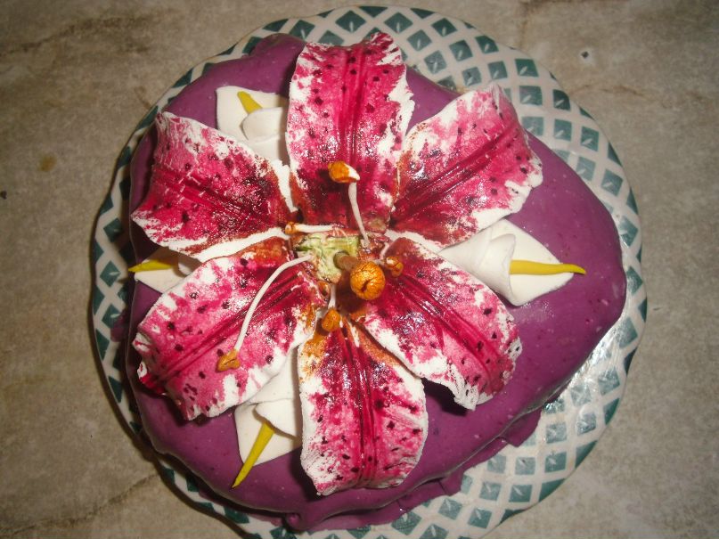 Ольга Капленко | Санкт-Петербург