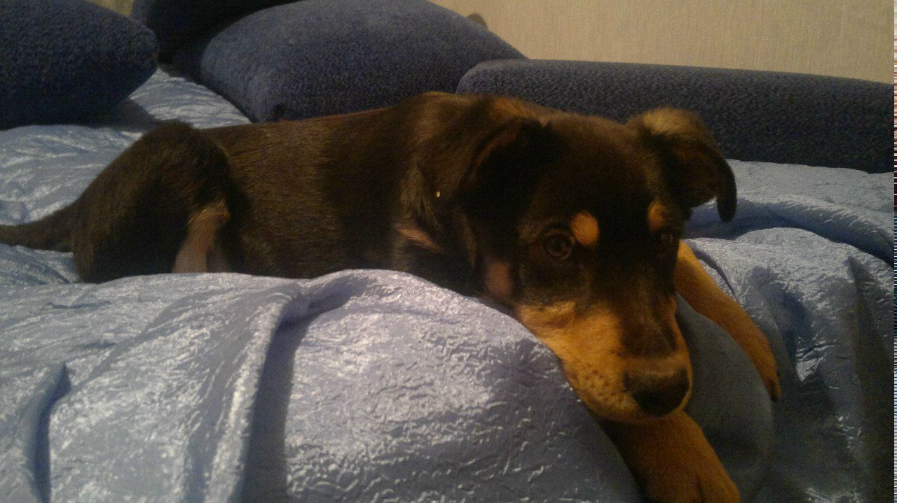 Олег Янковский ОлЕжКа:) | Киев