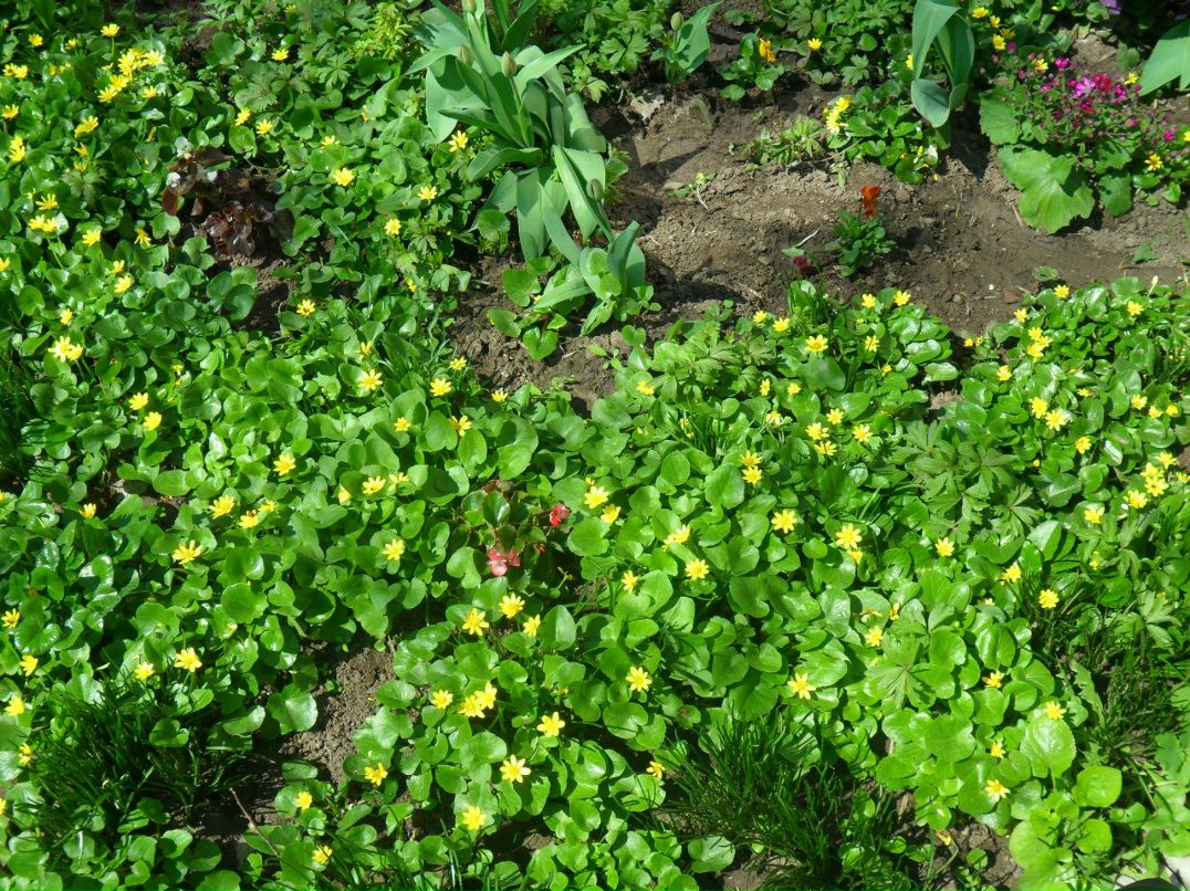 Людмила Рылова | 