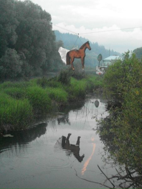 №6, Ольга Савкина №6, Ольга Савкина