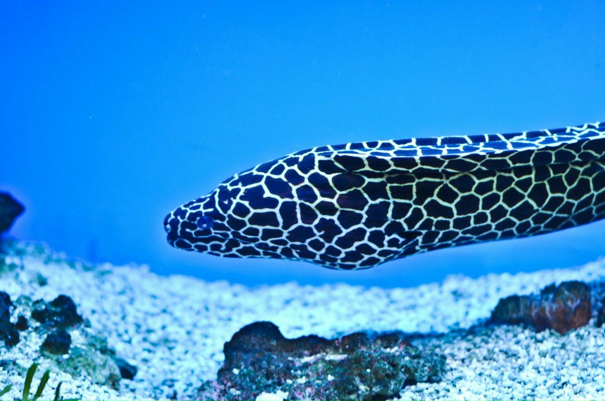 Мария Янцен | Екатеринбург