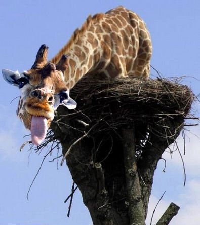 Саня Кудрявцев | Запорожье