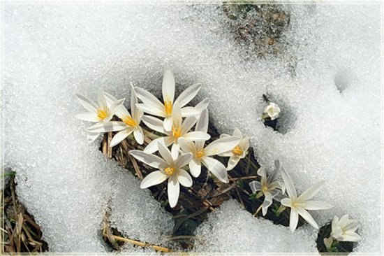 Rjd Fgh | Саратов