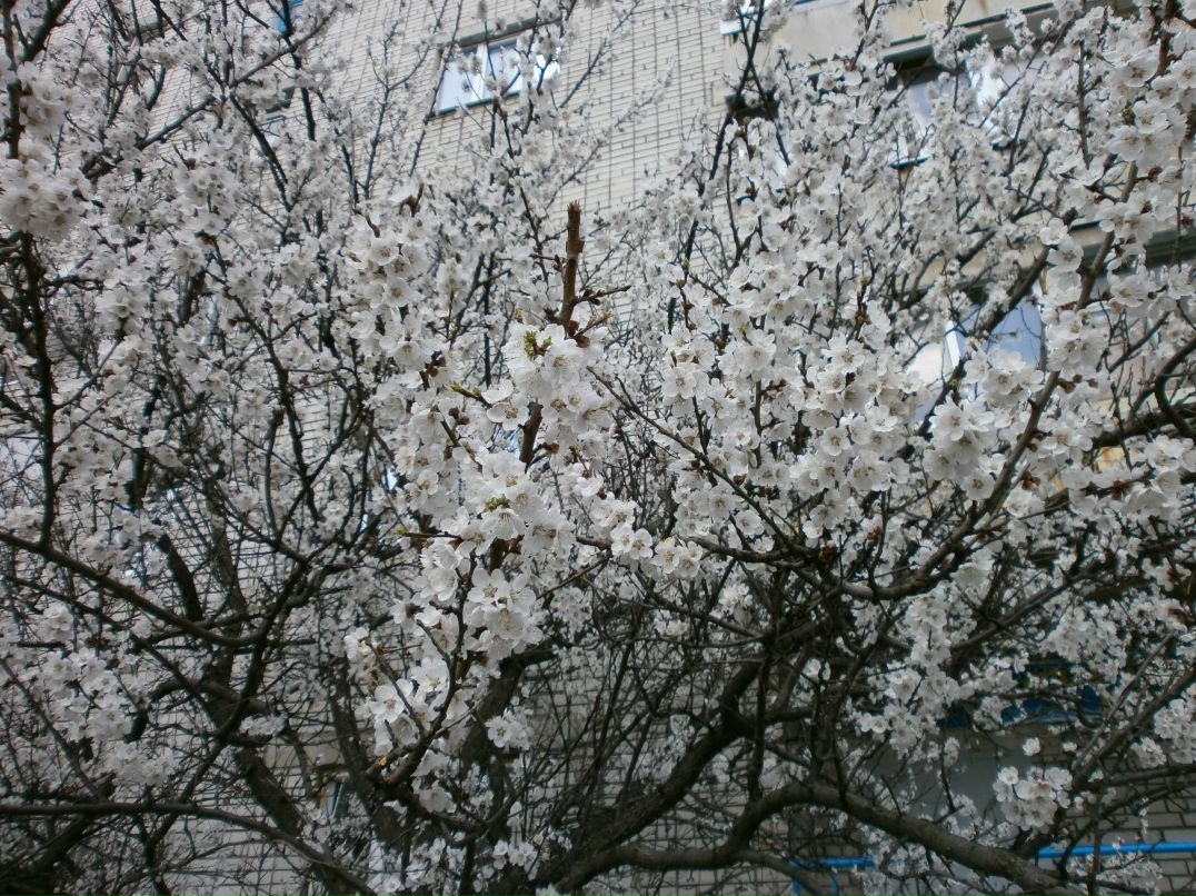Татьяна Засикан | Днепр (Днепропетровск)