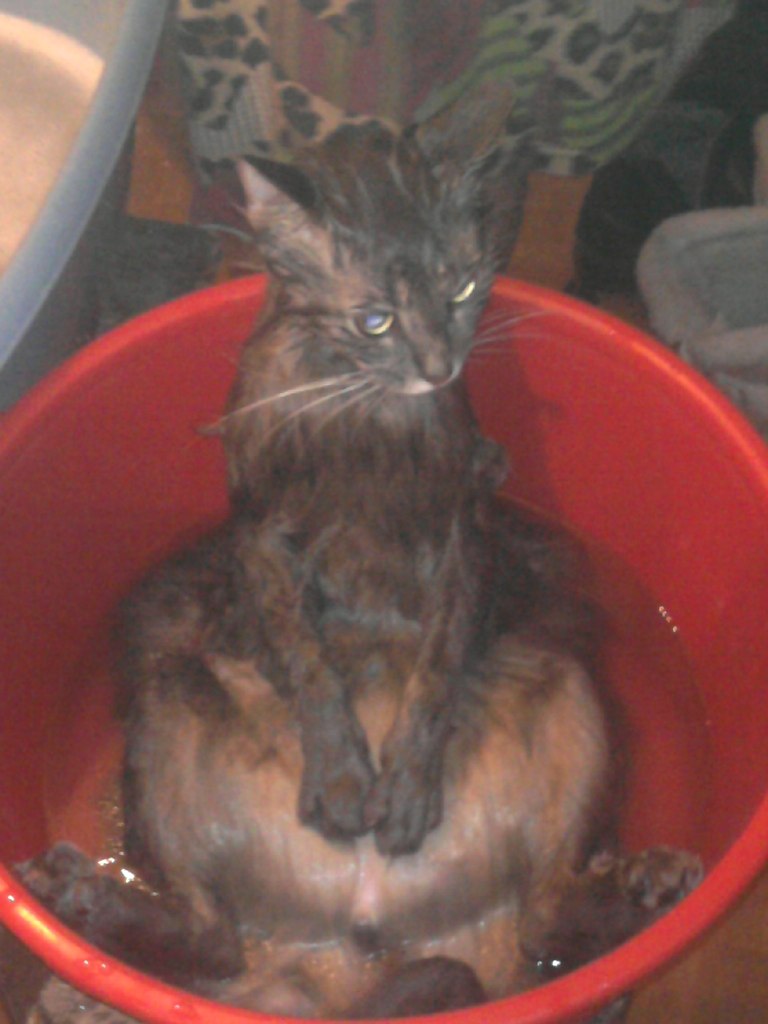 Елена Бойцова | Москва