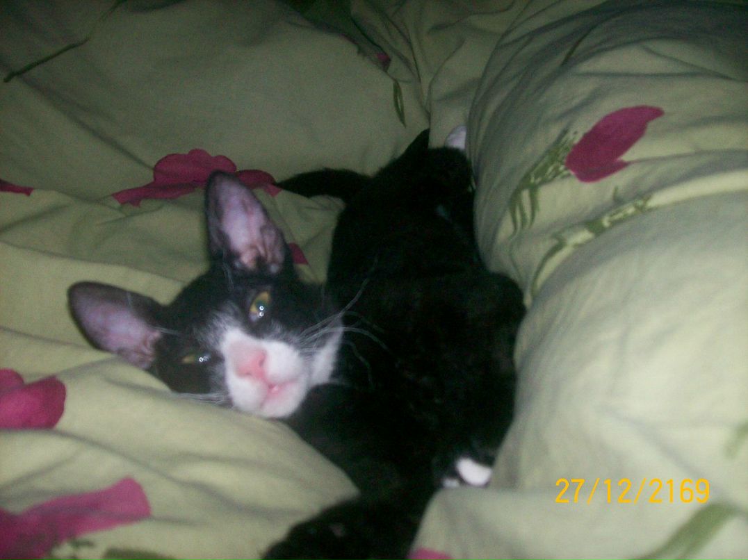 Александра Крепкая ˜”*°• ⎛★ ⎝⏜⏝ ⏜⎠★⎞ .•°*”˜ | Киев