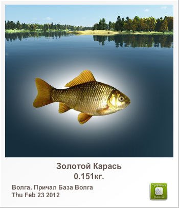 Сергей Иванов | Великий Новгород