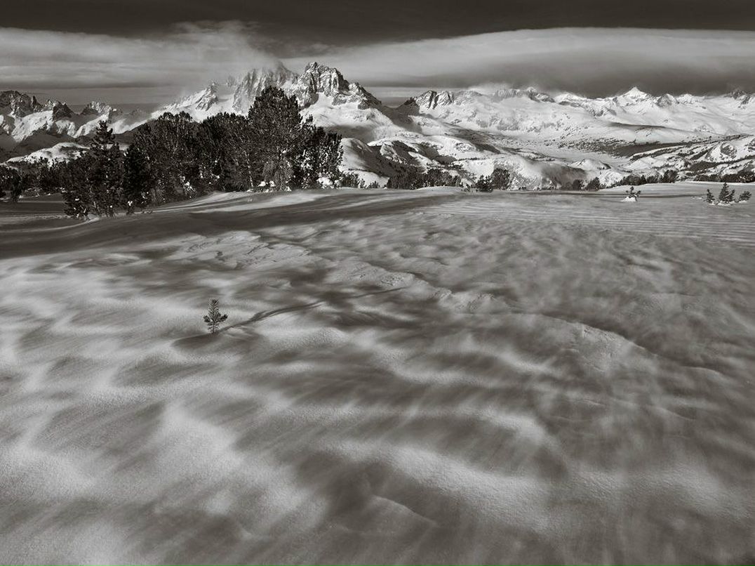 Александра Лечицкая | Санкт-Петербург