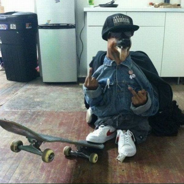 №54, Михаил Капитонов, Санкт-Петербург, Россия №54, Михаил Капитонов, Санкт-Петербург, Россия