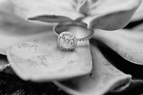 Александра Белая | 