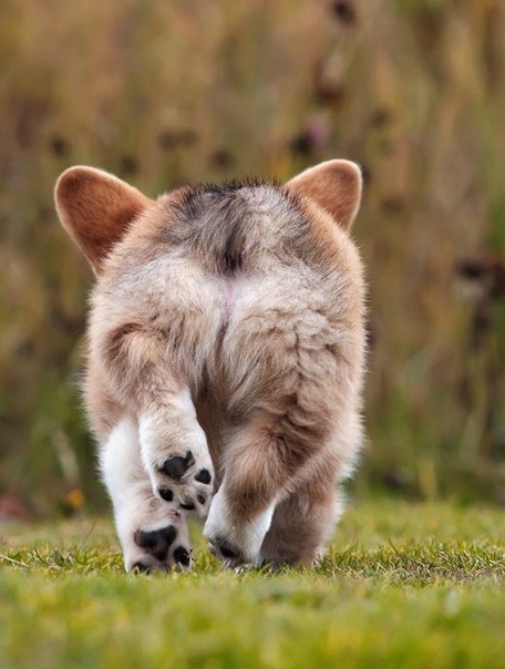 №130, Мария Тефанова, Красноярск №130, Мария Тефанова, Красноярск