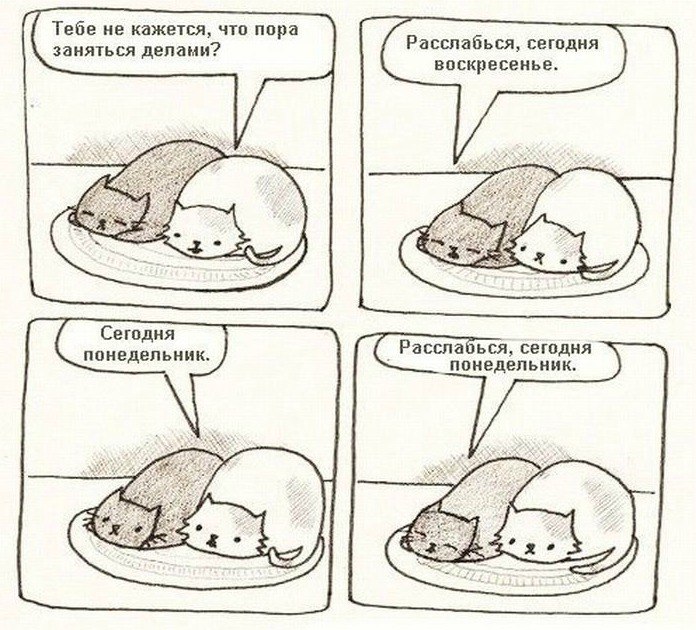 Катерина Бородулина | Тверь