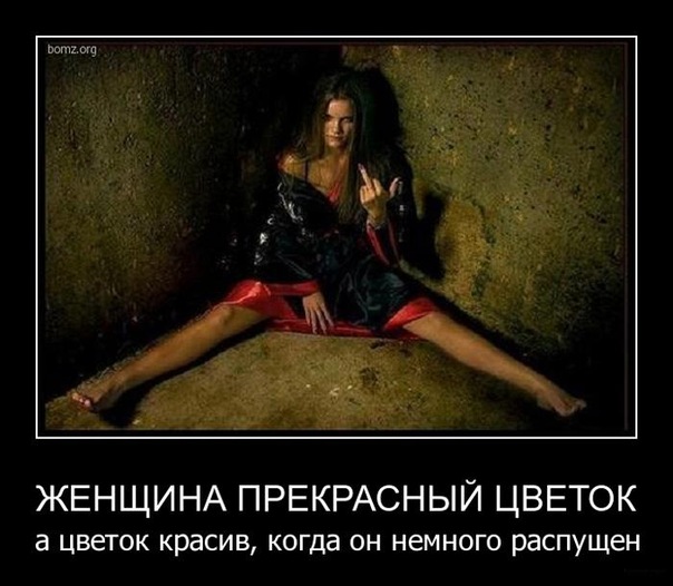 №77, Oll Streltsov, Одесса №77, Oll Streltsov, Одесса