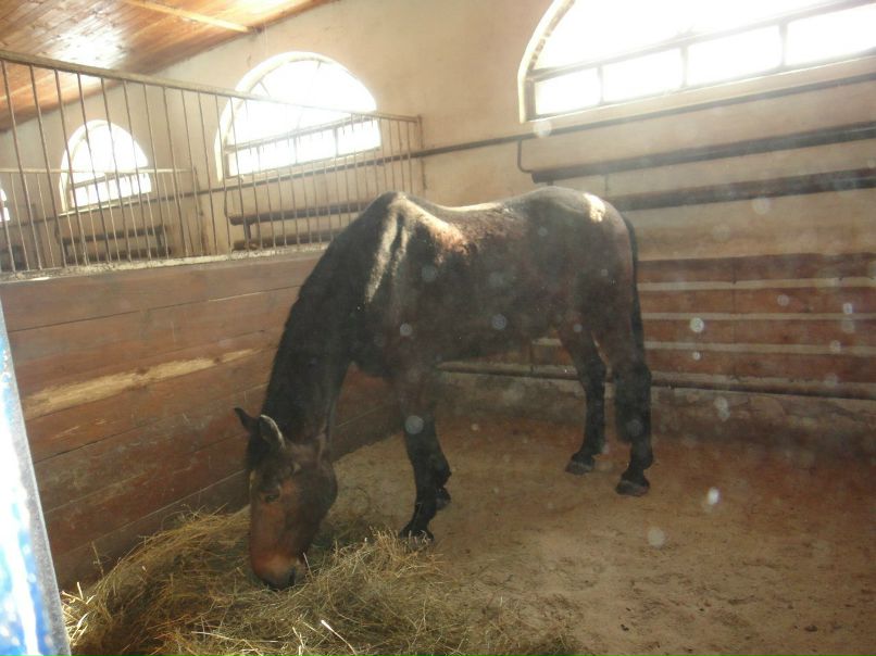 Сашка Видимка | Казань