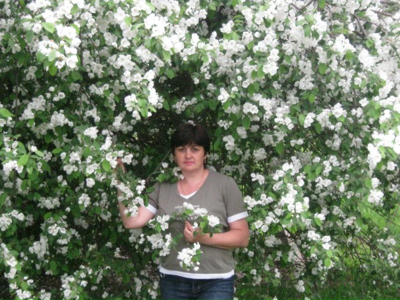 №12, Светлана Петрова №12, Светлана Петрова