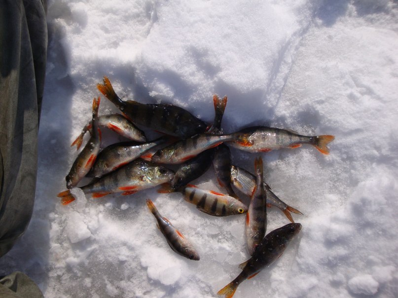 Руслан Каменчук | Киев