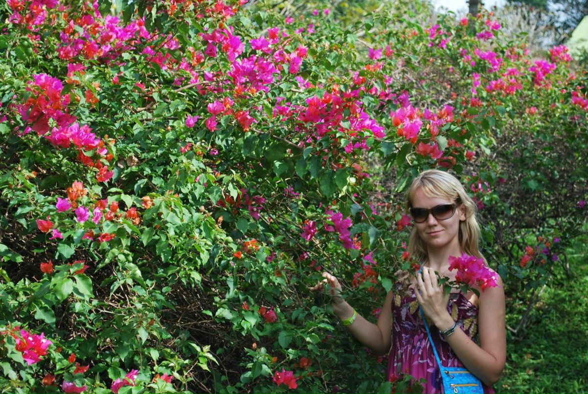 Светлана Ширкова | 