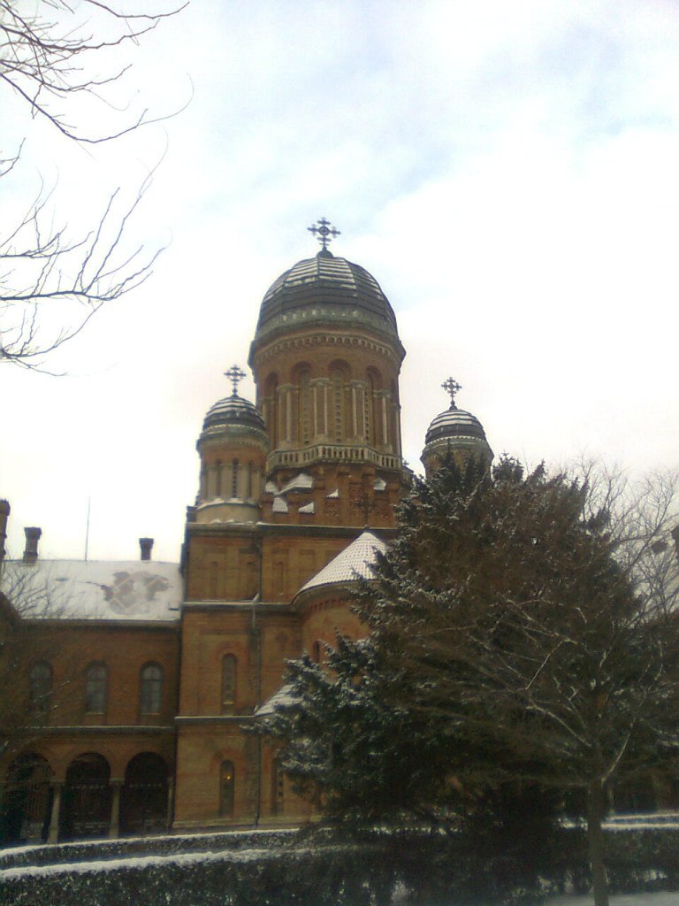Константин Николаев | Николаев