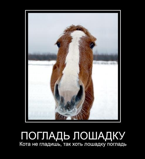 Екатерина Руденко | Санкт-Петербург