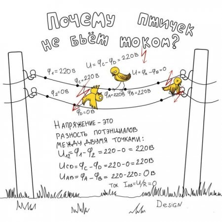 Сергей Павленко | Москва