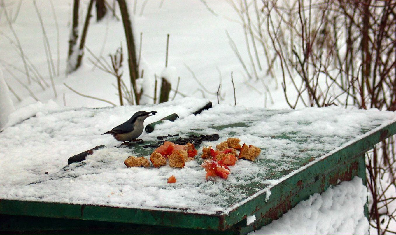 Андрей Лёвушкин | Санкт-Петербург