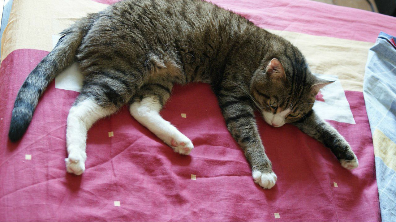 Артем Николаев | Красноярск