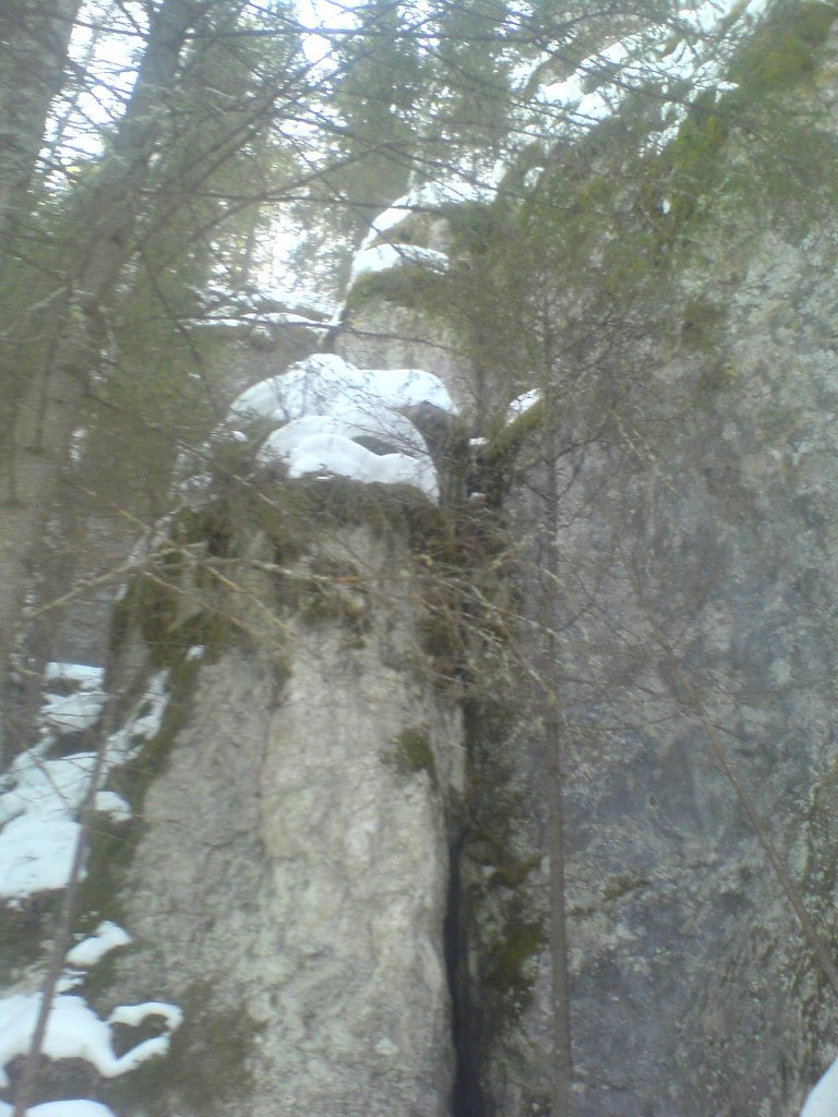 Владислав Шентенков | Екатеринбург