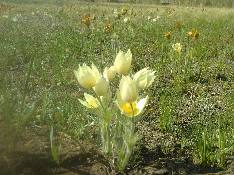 Алевтина Киреева | Екатеринбург