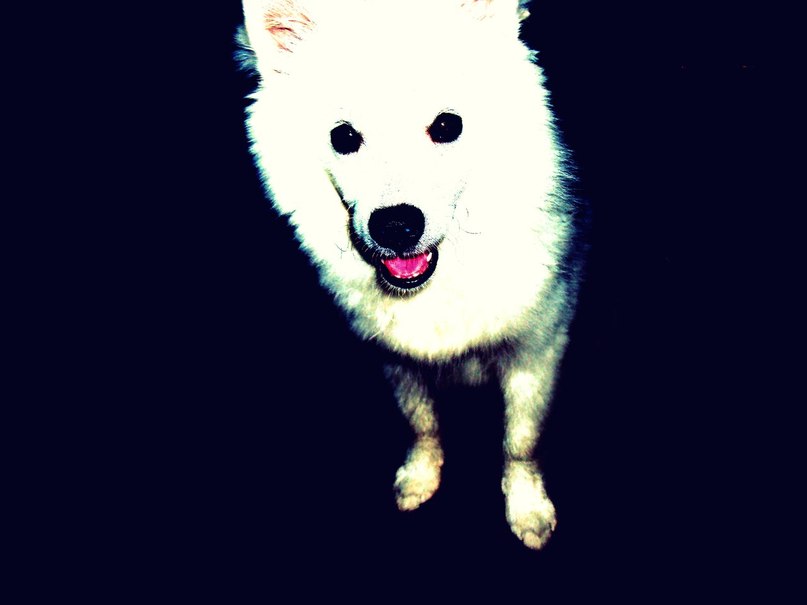 Дарья Лешко | Москва