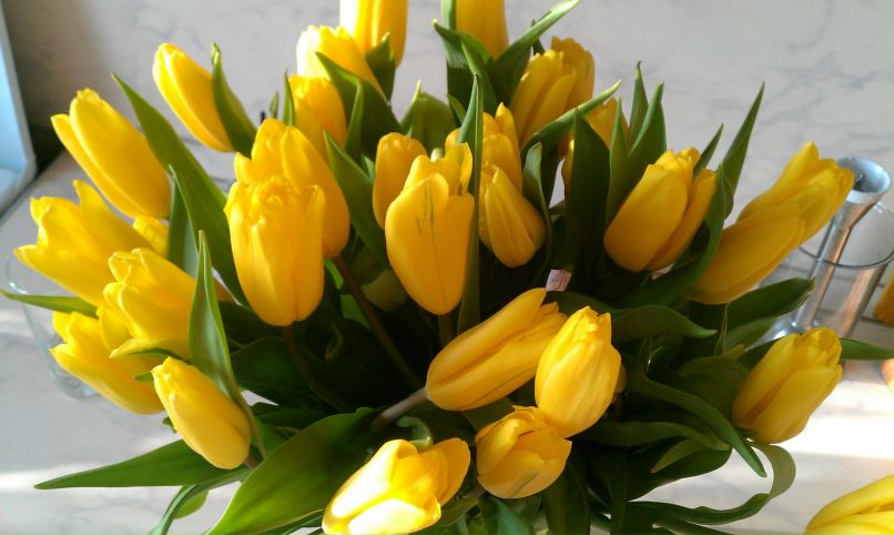 Олеся Симчук | Ярославль