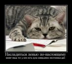 №6 Татьяна Ускова 04.06: профиль, фото, статус - ВКонтакте №6 Татьяна Ускова 04.06: профиль, фото, статус - ВКонтакте