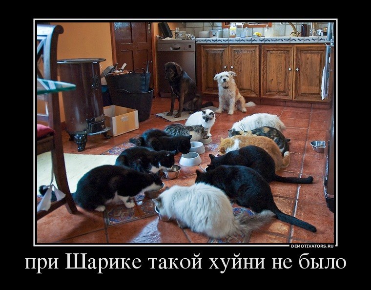 Катя Крайнова | Москва