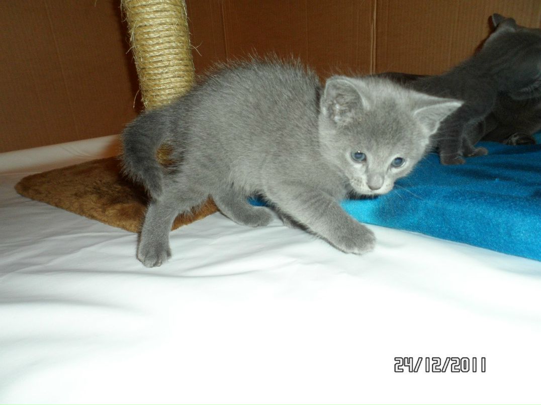 Ирина Егорова | Санкт-Петербург