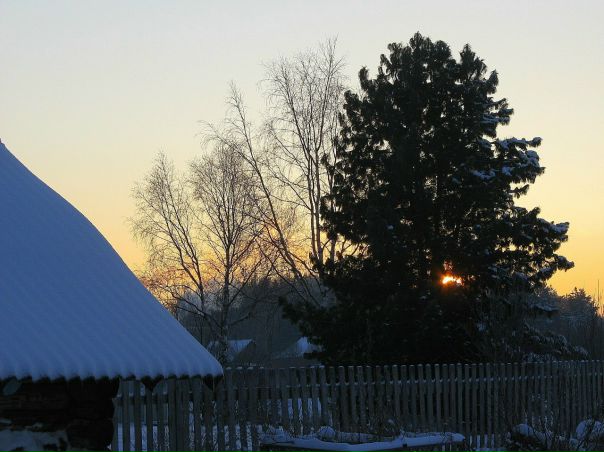 №49, Марина Чернобровкина, Архангельск №49, Марина Чернобровкина, Архангельск