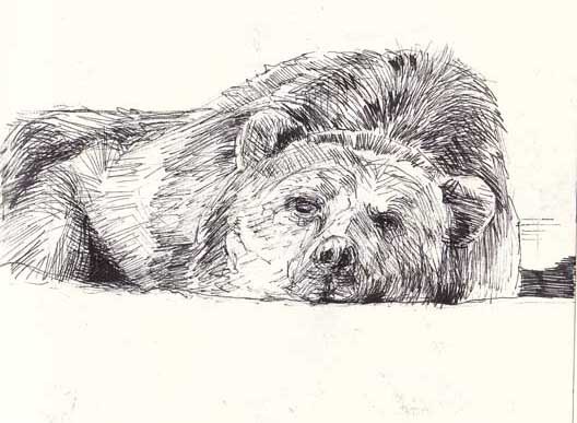 Дарья Гитманович | 