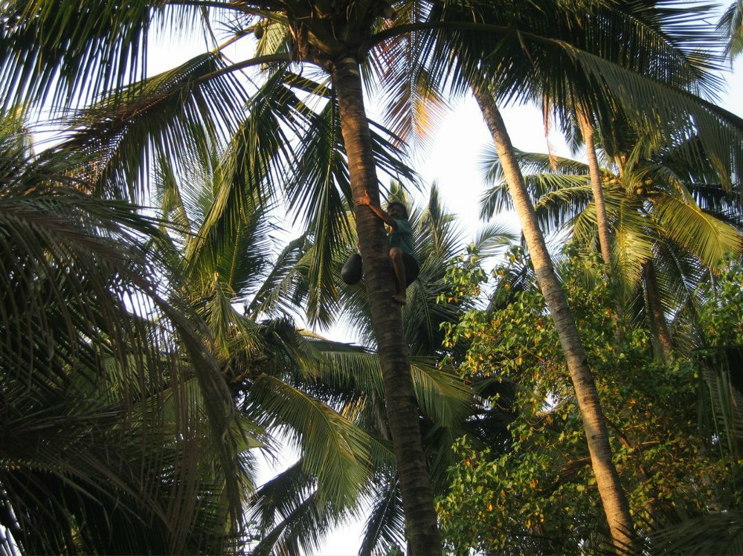 Светлана Маркова | Санкт-Петербург