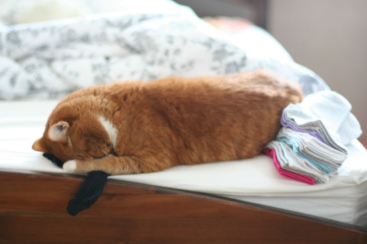 Дарья Гусева | Москва