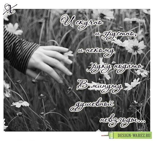 №39, Анюта Браточенко, Чернобаевка №39, Анюта Браточенко, Чернобаевка