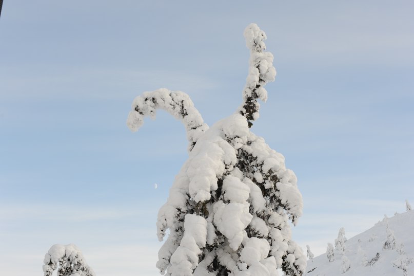 Вова Галайко | Москва